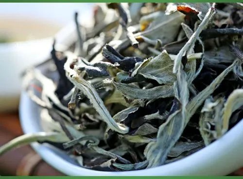 月光白属于什么茶类?