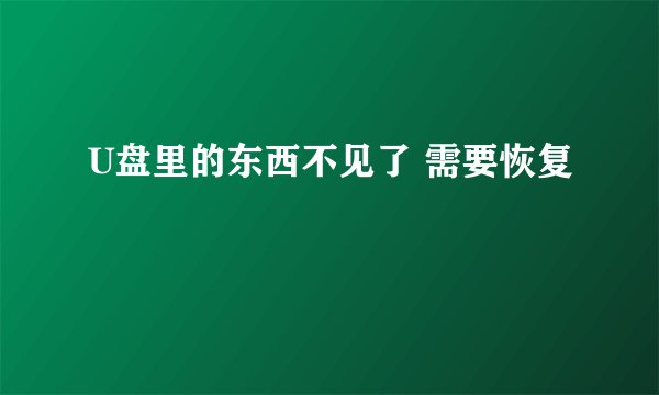 U盘里的东西不见了 需要恢复