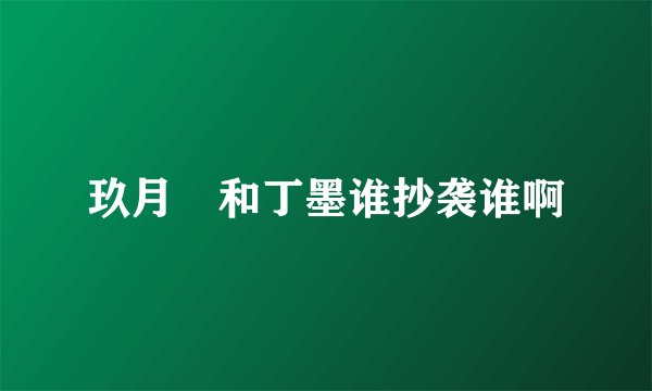 玖月晞和丁墨谁抄袭谁啊