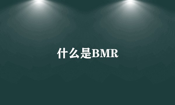 什么是BMR