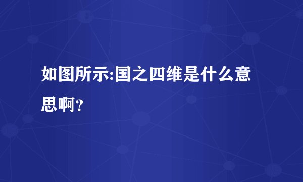 如图所示:国之四维是什么意思啊？