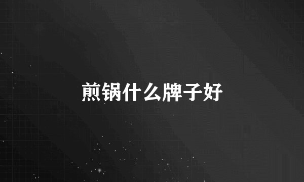 煎锅什么牌子好