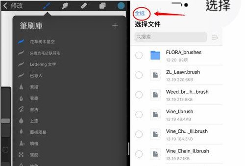 求大神告诉我笔刷怎么导入procreate的方法
