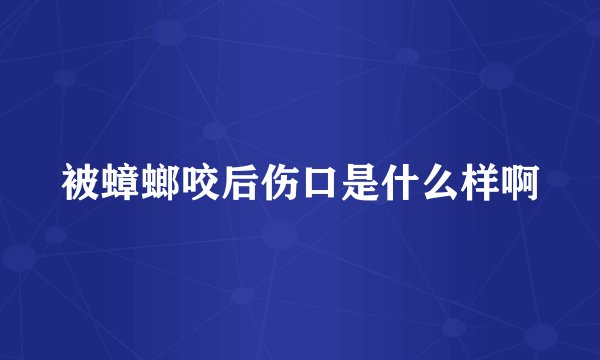 被蟑螂咬后伤口是什么样啊
