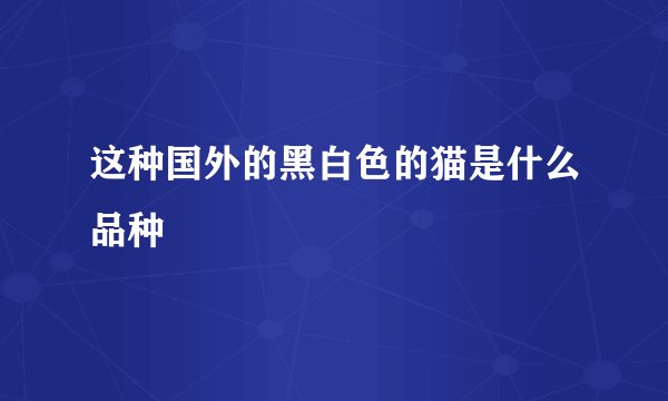 这种国外的黑白色的猫是什么品种