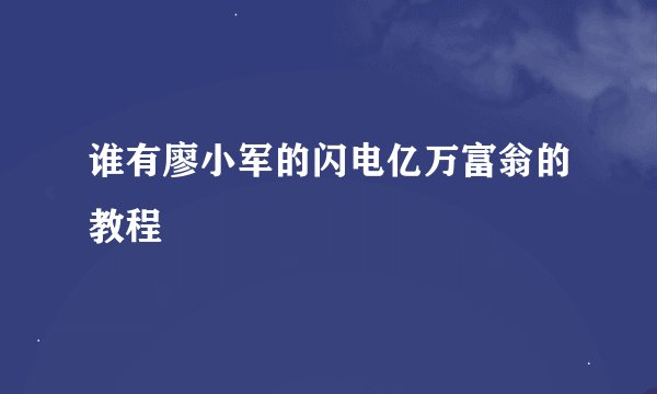 谁有廖小军的闪电亿万富翁的教程