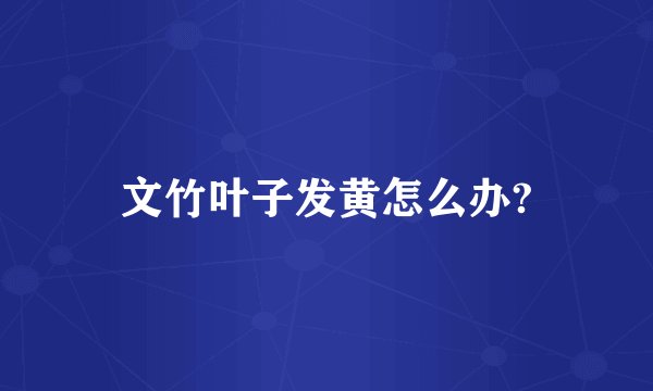 文竹叶子发黄怎么办?