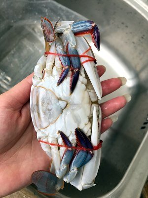 清蒸三眼蟹的做法步骤图,清蒸三眼蟹怎么做
