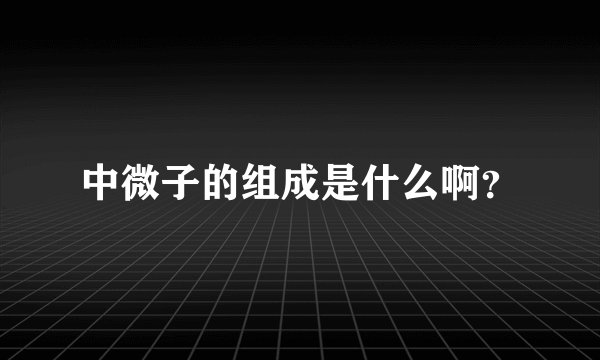 中微子的组成是什么啊？