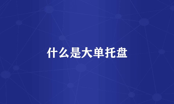 什么是大单托盘