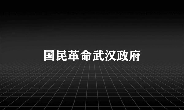 国民革命武汉政府