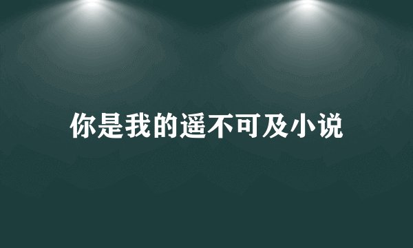 你是我的遥不可及小说