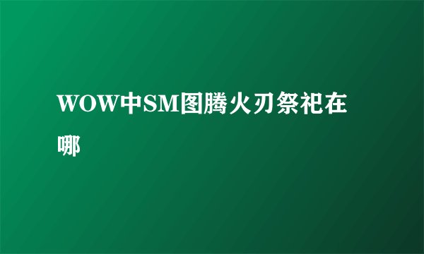 WOW中SM图腾火刃祭祀在哪