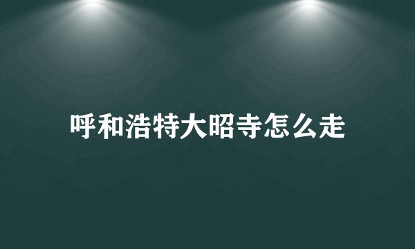 呼和浩特大昭寺怎么走