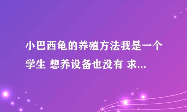 小巴西龟的养殖方法我是一个学生 想养设备也没有 求家庭装 养法