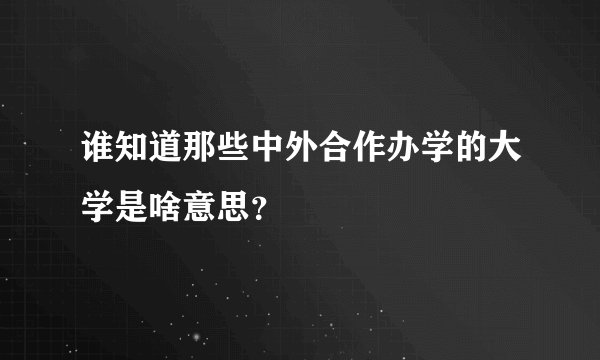 谁知道那些中外合作办学的大学是啥意思？
