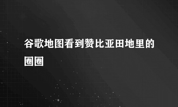 谷歌地图看到赞比亚田地里的圈圈