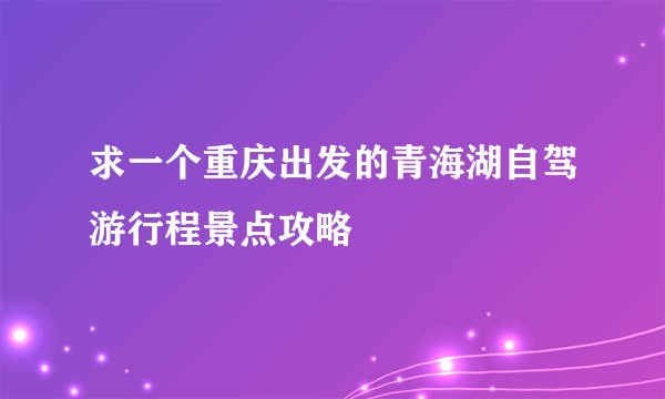 求一个重庆出发的青海湖自驾游行程景点攻略
