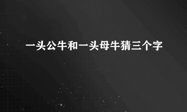 一头公牛和一头母牛猜三个字