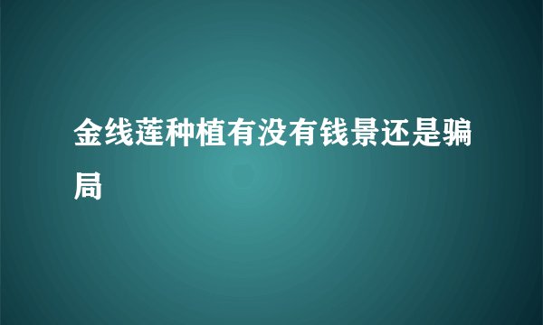 金线莲种植有没有钱景还是骗局