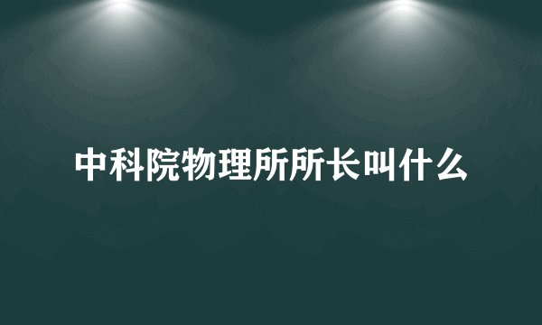 中科院物理所所长叫什么