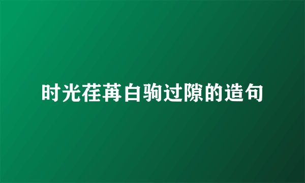 时光荏苒白驹过隙的造句