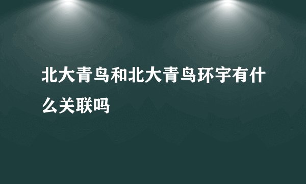 北大青鸟和北大青鸟环宇有什么关联吗