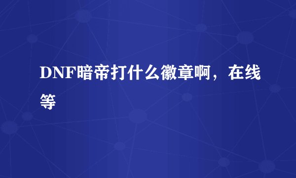 DNF暗帝打什么徽章啊，在线等