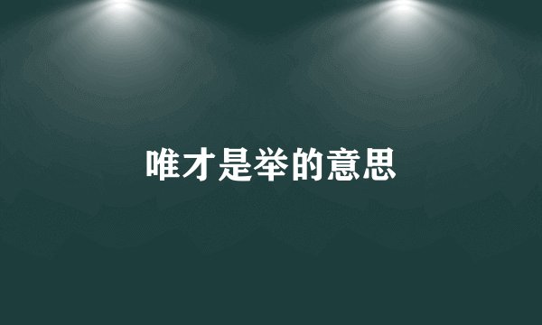 唯才是举的意思