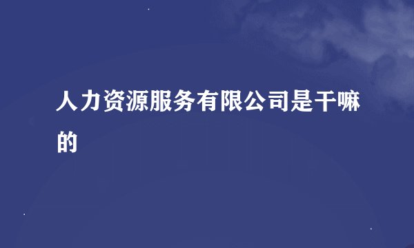人力资源服务有限公司是干嘛的