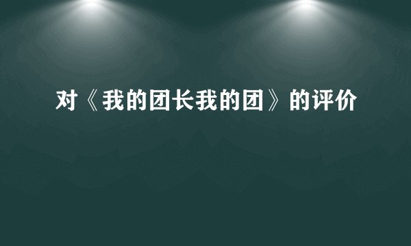 对《我的团长我的团》的评价
