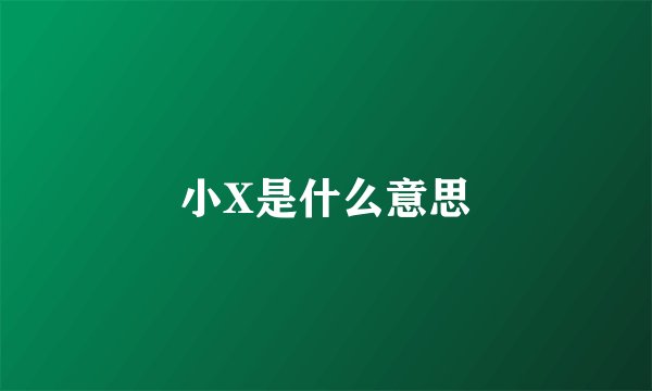 小X是什么意思