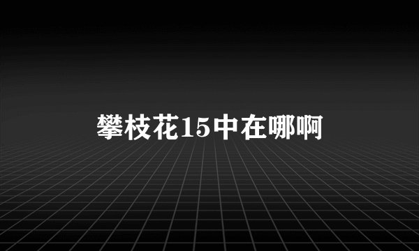 攀枝花15中在哪啊