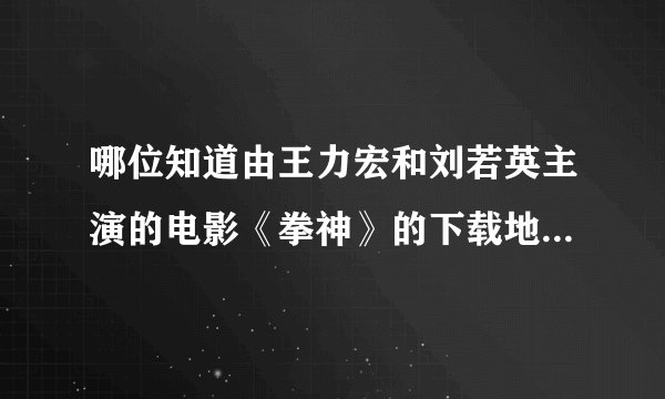 哪位知道由王力宏和刘若英主演的电影《拳神》的下载地址，要迅雷下载的。谢谢了！