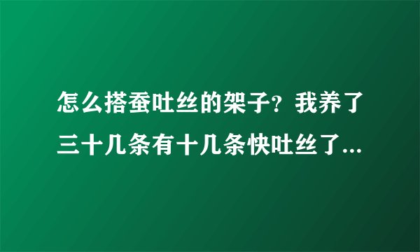 怎么搭蚕吐丝的架子？我养了三十几条有十几条快吐丝了，请各位帮帮忙啊！