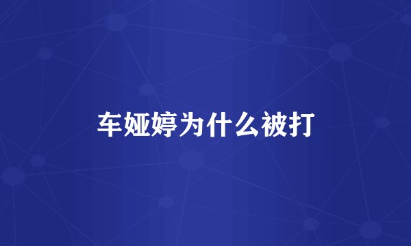 车娅婷为什么被打