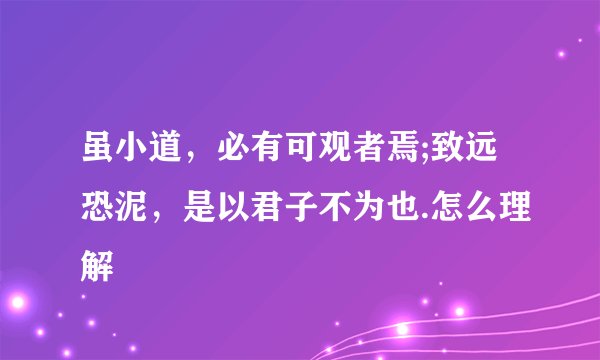 虽小道，必有可观者焉;致远恐泥，是以君子不为也.怎么理解