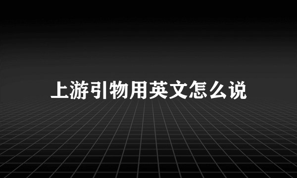 上游引物用英文怎么说