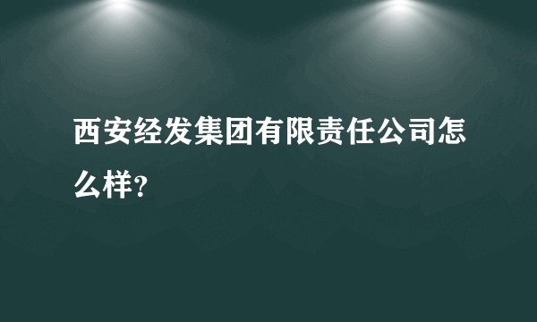 西安经发集团有限责任公司怎么样?