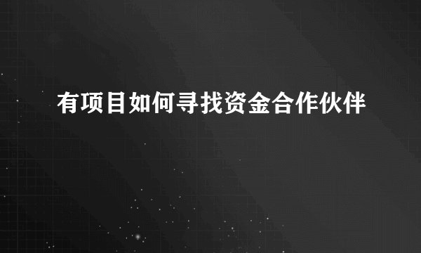有项目如何寻找资金合作伙伴
