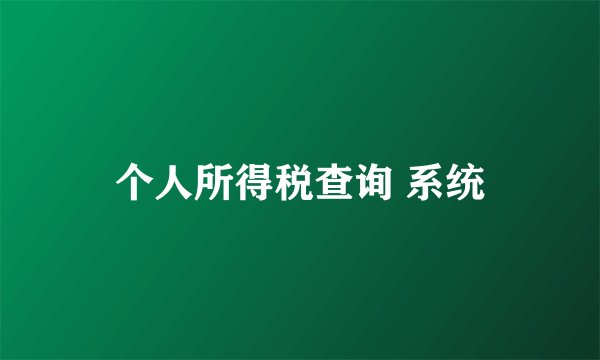 个人所得税查询 系统