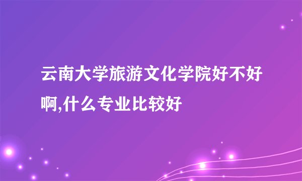 云南大学旅游文化学院好不好啊,什么专业比较好