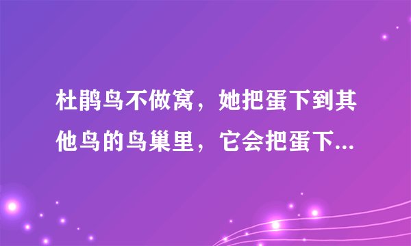 杜鹃鸟不做窝，她把蛋下到其他鸟的鸟巢里，它会把蛋下在鹰巢吗?