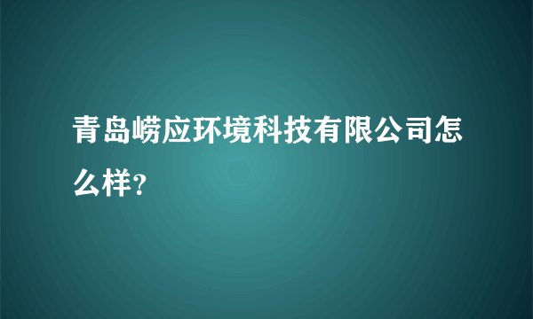 青岛崂应环境科技有限公司怎么样？