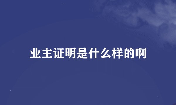 业主证明是什么样的啊