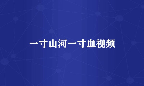 一寸山河一寸血视频