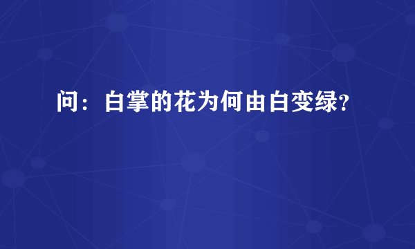 问：白掌的花为何由白变绿？