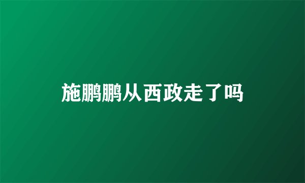 施鹏鹏从西政走了吗
