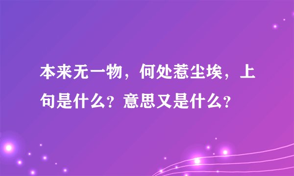 本来无一物，何处惹尘埃，上句是什么？意思又是什么？