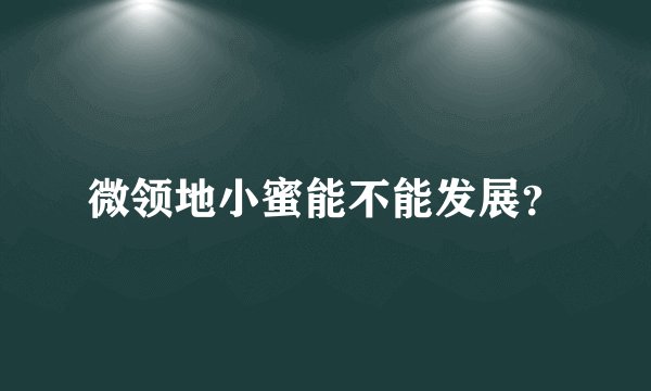 微领地小蜜能不能发展？